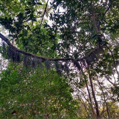 phansad-bird-sanctuary (1)