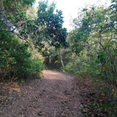 phansad-bird-sanctuary (5)